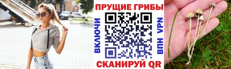 Псилоцибиновые грибы мухоморы  Краснообск 